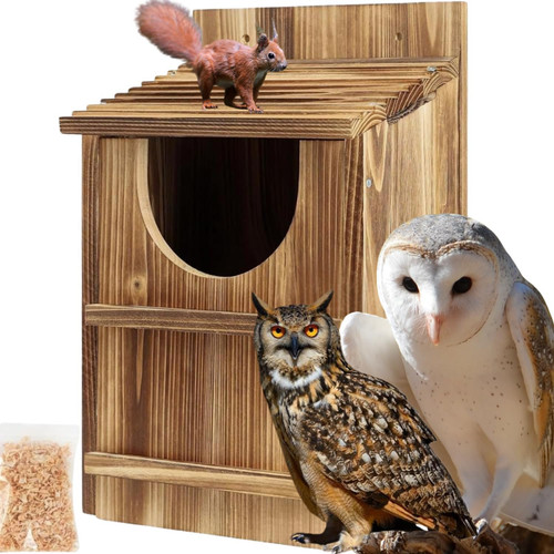 Owl box carbonized pine - owl,