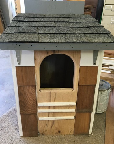 Large owl house screech - house, ~