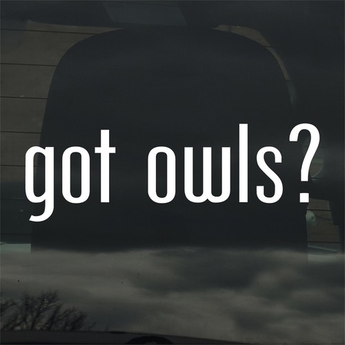 Got owls custom vinyl - owls?,